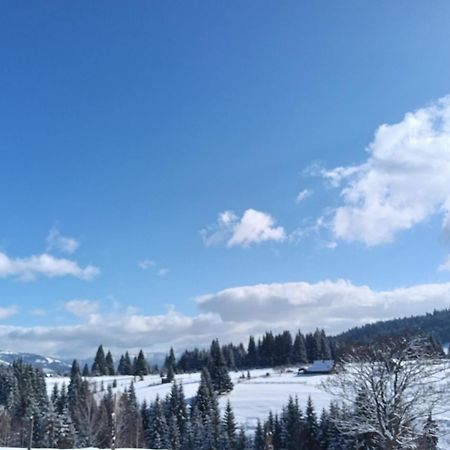 Casa Vasy Guest House Ватра Дорней Екстериор снимка