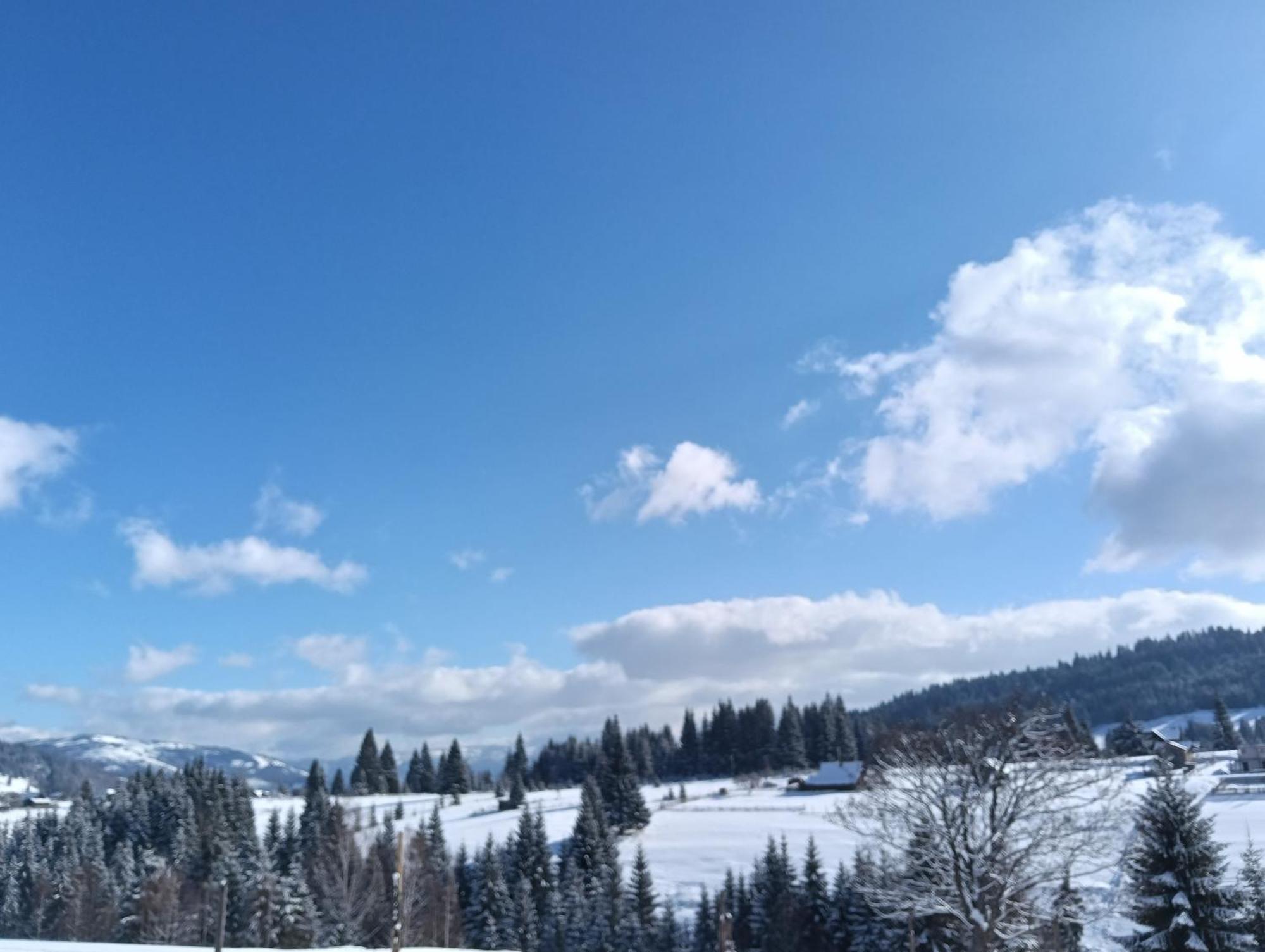 Casa Vasy Guest House Ватра Дорней Екстериор снимка